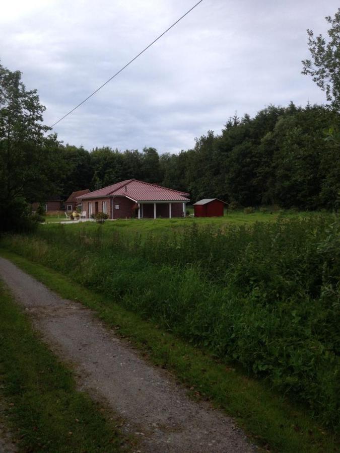 Ferienhaus Am ParadiesNeuschoo エクステリア 写真